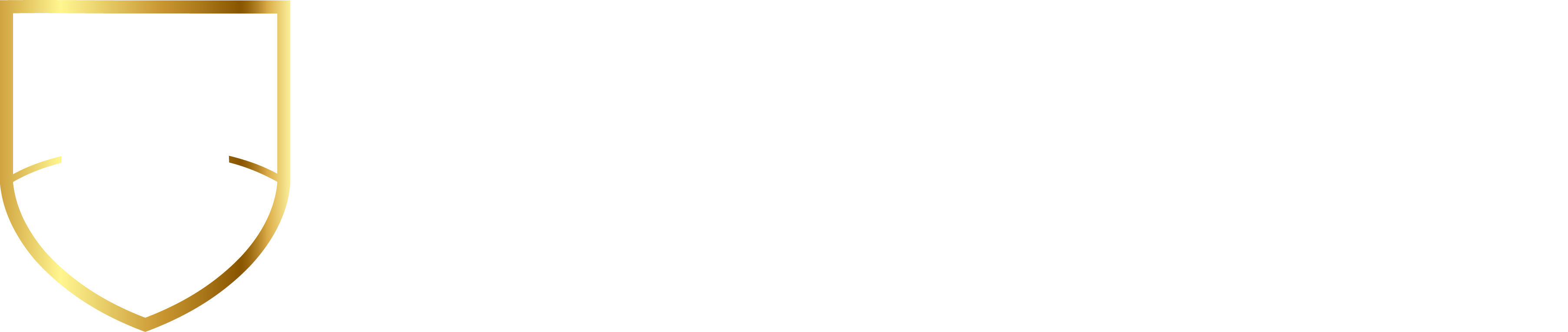 Afrasiab University Logo